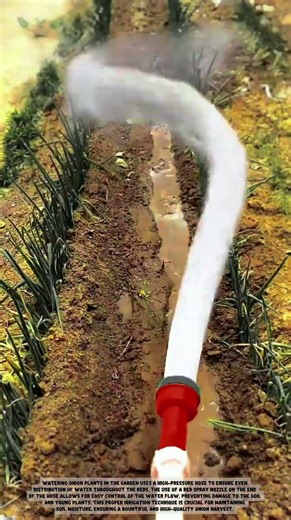 Watering Seedlings Like a Pro! 1000-Hole Premium Irrigation Artifact