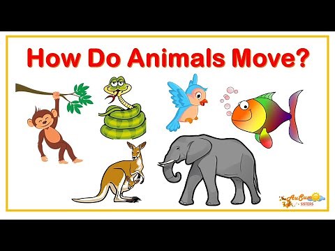 How Do Animals Move? | Learning Video For Kids | AuSum Sisters