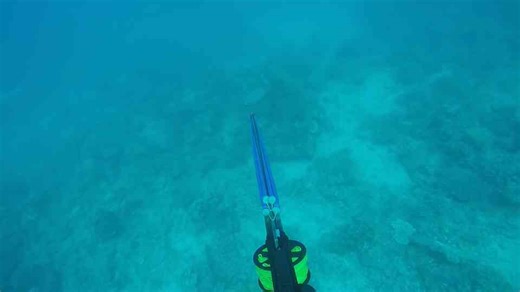 Beach Camp | Exploring Coastlines & Great Barrier Reef (B2B EP;10)