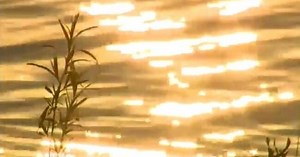 Father, 3 children killed in kayaking accident