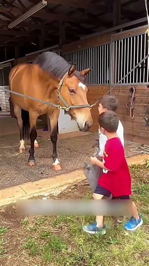 🥵⁉️ குழந்தையின் அளவில்லா மகிழ்ச்சி