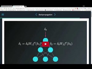 The Simplest Neural Network