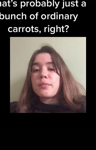 Jane Wickline (@janewickline)’s videos with original sound - Jane Wickline