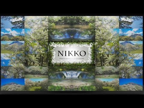 【4K HDR】日光・戦場ヶ原｜ズミの花と美しい清流の流れ Nikko Senjogahara | Zumi Blossoms and the Beauty of a Clear Stream