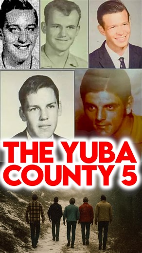 NIGHT FILES - Your daily dose of weird. on Instagram: "Yuba County Five: It remains one of the strangest cases in American history. Five men walked into a snowstorm with no supplies. One survived for weeks beside food and heat he never used. One was never found. Music: “Abandoned Ship” - Karl Casey @ White Bat Audio #paranormal #unexplained #truecrime #creepystories #highstrangeness"