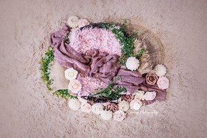 Newborn Digital Backdrop: Pink With Greenery - Etsy