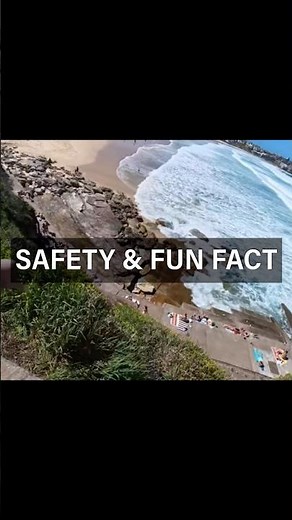 Bondi Beach Safety & Fun Facts 🇦🇺 | What You MUST Know Before Visiting!