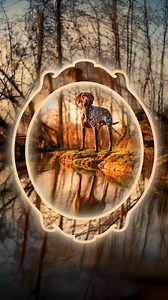 Simple shapes, striking results. ✨ Want to see how it’s done? Watch the How-To: Create modern effects with preset shapes in Photoshop Elements. | Adobe Photoshop Elements & Premiere Elements