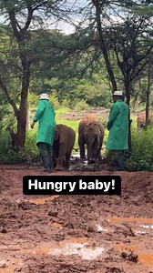 So sweet! | Tips, Tricks & Funny Clips