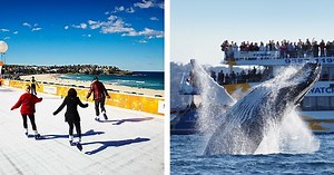 Spend A Winter In Australia And You'll Discover It's More Than Just Snow