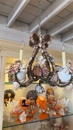 Christa Wilm on Instagram: "Fabulous 4-light CSS Chandelier . . . #shellartist #seashells #christa #chandelier #studio #studioart #interiors #interiordesign #palmbeach #miami #shell #custom #customworkroom"