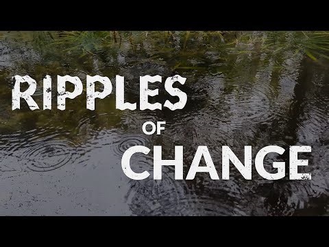 FFE One step and a Leap