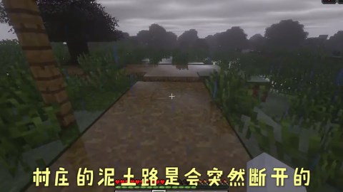 我的世界：你不知道的隐藏彩蛋，这下知道12号唱片怎么来了吧