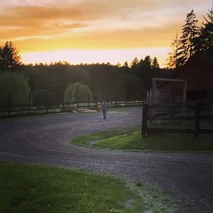 10K views · 1.1K reactions | Just another Friday night on patrol @frevillefarm | Aaron Neville | Facebook