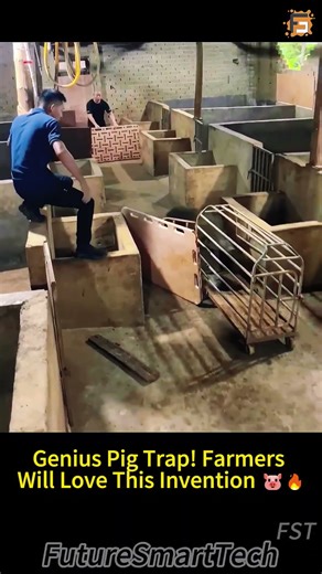 Genius Pig Trap! Farmers Will Love This Invention 🐷🔥