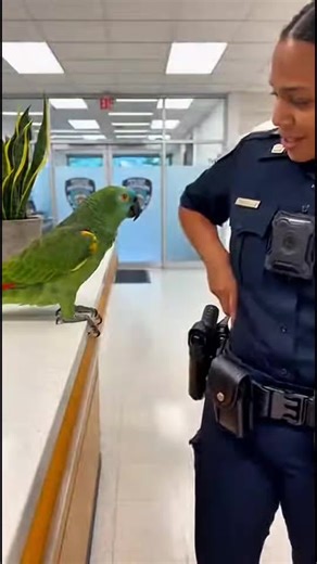 Funny Parrot Comedy Skit: Paco's Hilarious Patrol