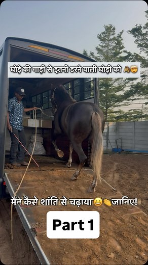 Trailer Loading of Mastani - PART 1 #horsetraining #ghoda #horse #nature #trailerloading #pickuploading | Around TheHorsemanship