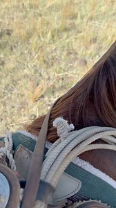 New Mexico’s High Low Country | Genuine Billy Cook