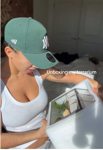 Unboxing My Beautiful Terrarium Surprise