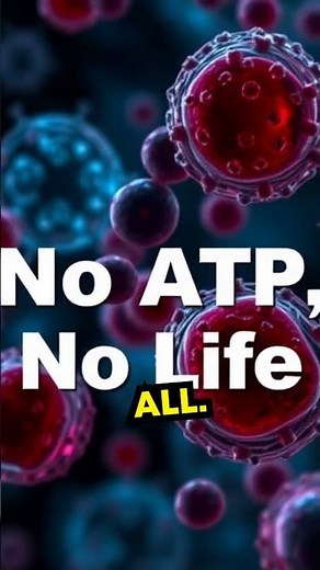 Unlocking Life’s Energy: The Mystery of Cellular Respiration