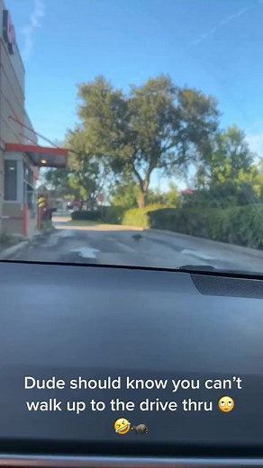 2.1M views · 71K reactions | #Raccoon at #Dunkin proves that EVERYONE RUNS ON DUNKIN 藍劣 | Rescue Raccoon | Facebook