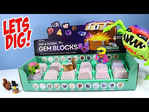 Dig a Dozen Gem Blocks Real Stones! Dan&Darci STEM Review