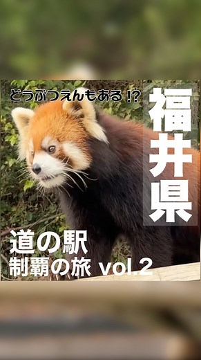 りえもん(あいたの~愛犬と楽しくお出かけ~) on Instagram