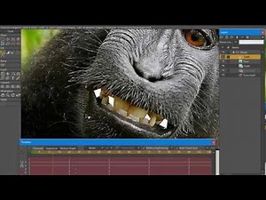 Moho 12 - Adventures in Smart Warp