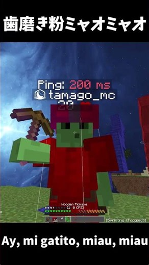 montagem miau 空耳 #song #funk