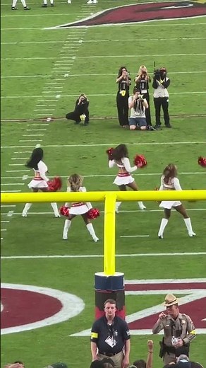 Cardinals Cheerleaders - Cardinals vs Jaguars (11/23/2025) #cheerleader #cardinals #jaguars