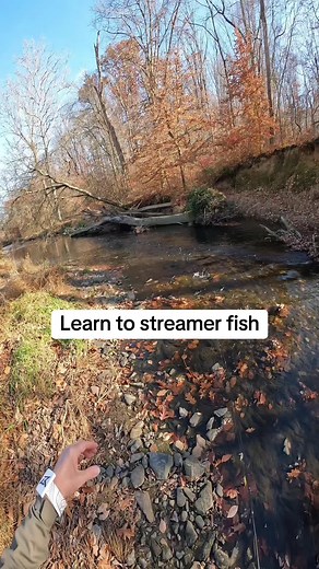 Streamer fishing is a great stepping stone into fly fishing. In this video you’ll learn how to cast, the advantage of slow vs fast strip, why to pause, and how to strip set the hook. I always recommend that if you are interested in flyfishing, start with streamer fishing. It’s fun, it’s exciting and the tug is the drug! #flyfishdelawhere #flyfishing #trout #rainbowtrout #flyfishingtips #barblesshook #flyfishingjunkie #wetnets #tightlines #fishingtrips #flyfishingtips #fishingtime #flyfishonly #f