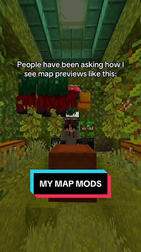 my map mods #donutsmp #minecraft