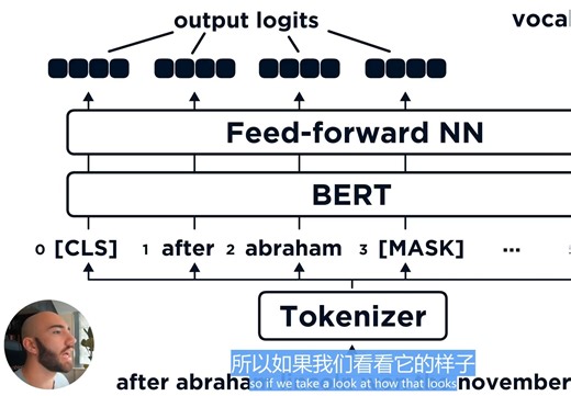 【中文】BERT预训练教程-1-Masked Language Modeling-MLM
