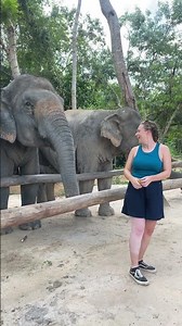 Rescued Elephant Showering | Pure Happiness in the Forest