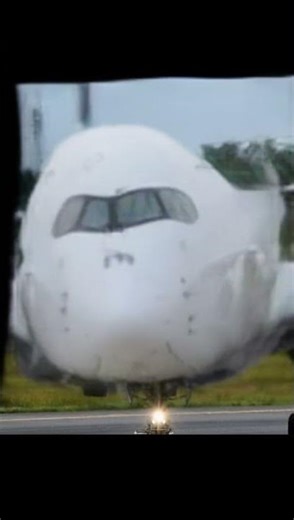 Airbus A350 Hits The "SHEESH"! 🥶✈️ The Coldest Plane Meme!