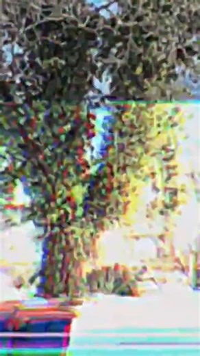 Please Help Me Out Now by jango effect #music #upcomingmusician #newtrack #emorap #indiesound