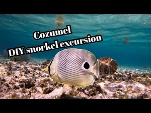 Sky Reef – Snorkelling near the Cozumel Cruise port