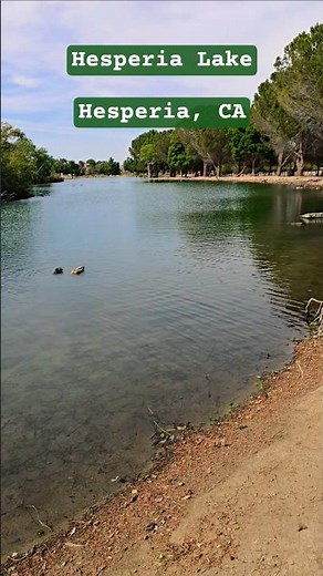 Hesperia Lake Hesperia, CA #wildlife #beautiful #lake #nature #Hesperia #shorts #jgkix