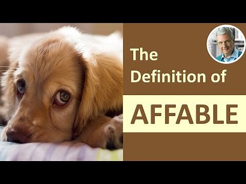 What Is the Definition of AFFABLE? (Illustrated Example)