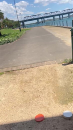 A walkthrough with Ruby, Zuri, Rusty and Charli . ( We did manage one hill ) | Pawfit | Facebook