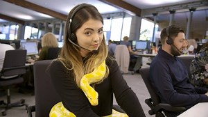 16K views | Always expect the unexpected. Book your travel insurance through Holiday Extras.  Our brand new radio ad is now airing! Keep your ears peeled and let us know below if you've heard it.  | Holiday Extras | Facebook