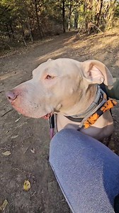 35K views · 5.6K reactions | Sky was brought into a local kill...