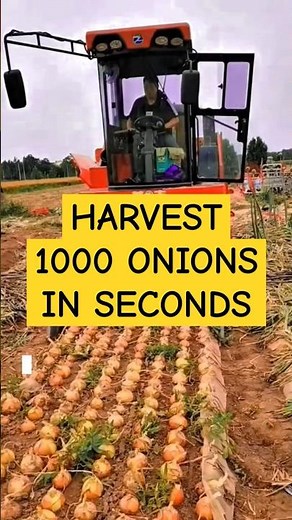 How an Automatic Onion Harvesting Machine Works – Surprising Facts Revealed!