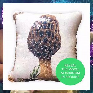 316 reactions · 165 shares | For the 'Morel Mushroom' lover who can't seem to find the morels - this is the reversible sequin pillow for them! Find a morel everytime with the swipe of your hand - Guaranteed arrival by Christmas! https://www.mermaidpillowco.com/morel-pillow | Mermaid Pillow Co | Facebook
