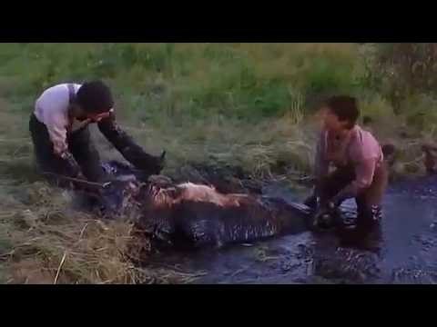 Crossfire Trail (2001) ~ Petroleum Mud Pit