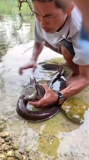 Giant Eel Swallows It Back Into Its Mouth! 😱🐍 | Unbelievable Catch