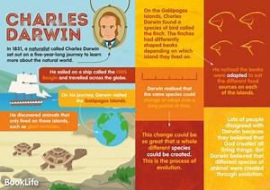 Free Charles Darwin Poster