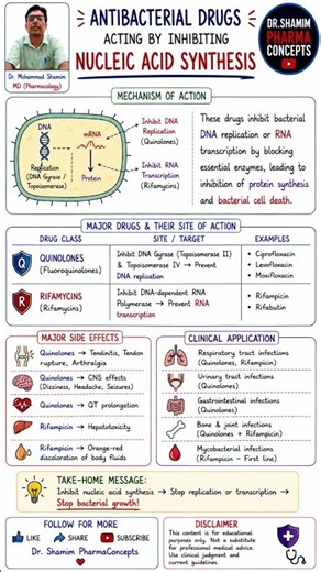 Antibacterial Drugs Inhibiting Nucleic Acid Synthesis | Mechanism, Side Effects & Clinical Uses
