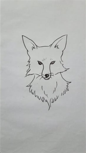 fox drawing 🦊 | how to draw a fox 🦊? | #fox #foxdrawing #art