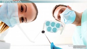 Dentist Education Requirements and Career Information